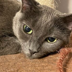 Meet your Posher, Kate